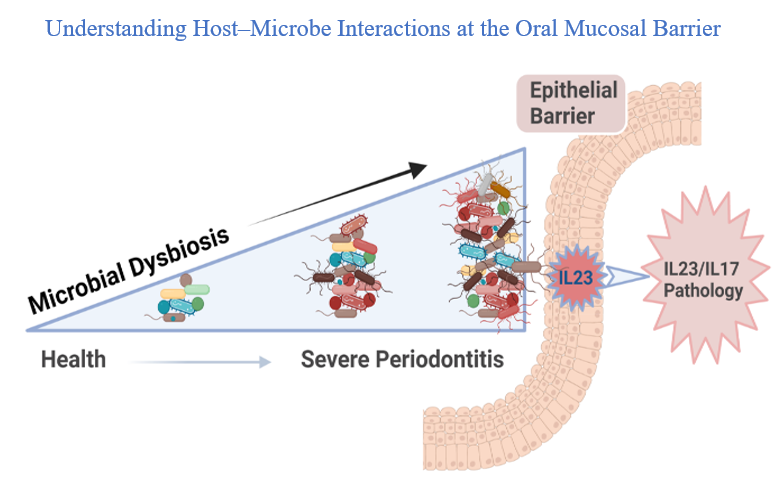 Host–Microbe Interactions at the Oral Mucosa